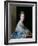 Portrait of Jean Abercromby, Mrs Morison of Haddo-Allan Ramsay-Framed Giclee Print