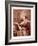 Portrait of John Calvin (1509-1564)-Ary Scheffer-Framed Giclee Print