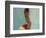 Portrait of Little Girl, Orissa, India-Keren Su-Framed Photographic Print