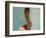 Portrait of Little Girl, Orissa, India-Keren Su-Framed Photographic Print