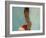 Portrait of Little Girl, Orissa, India-Keren Su-Framed Photographic Print