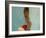 Portrait of Little Girl, Orissa, India-Keren Su-Framed Photographic Print