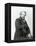 Portrait of Louis-Jacques Daguerre-Nadar-Framed Premier Image Canvas