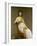 Portrait of Madame Raymond De Verninac, Née Henriette Delacroix-Jacques Louis David-Framed Giclee Print