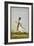 Portrait Of Maharav Raja Bakhtavar Singh Of Alwar (R.1790-1815)-null-Framed Giclee Print