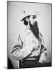 Portrait of Major General William Mahone-Mathew Brady-Mounted Giclee Print