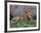 Portrait of Male African Lion, Tanzania-Dee Ann Pederson-Framed Photographic Print