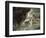 Portrait of Marchesa Casati-Giovanni Boldini-Framed Giclee Print