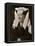 Portrait of Margaret Van Eyck, 1927-Jan van Eyck-Framed Premier Image Canvas