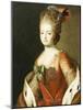 Portrait of Maria Fedorovna, Wife of Grand Duke Paul Petrovich (Future Tsar Paul I)-Alexander Roslin-Mounted Giclee Print