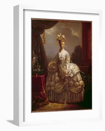 Portrait of Marie Antoinette by Lorraine Habsburg (1755-1793) Queen of France Painting by Marie Eli-Elisabeth Louise Vigee-LeBrun-Framed Giclee Print