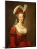 Portrait of Marie Antoinette, Queen of France-Elisabeth Louise Vigee-LeBrun-Mounted Giclee Print