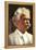 Portrait of Mark Twain-null-Framed Stretched Canvas