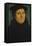 Portrait of Martin Luther as Professor-Lucas Cranach the Elder-Framed Premier Image Canvas