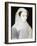 Portrait of Mary, Queen of Scots-Francois Clouet-Framed Giclee Print