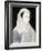 Portrait of Mary, Queen of Scots-Francois Clouet-Framed Giclee Print