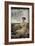 Portrait of Mrs. De Nittis, 1882-Giuseppe De Nittis-Framed Giclee Print