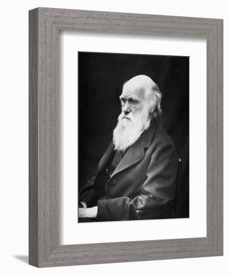 Portrait of Naturalist and Geologist Charles Darwin-Stocktrek Images-Framed Photographic Print