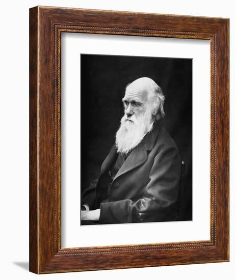 Portrait of Naturalist and Geologist Charles Darwin-Stocktrek Images-Framed Photographic Print