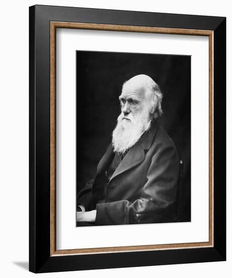 Portrait of Naturalist and Geologist Charles Darwin-Stocktrek Images-Framed Photographic Print