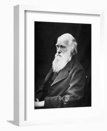 Portrait of Naturalist and Geologist Charles Darwin-Stocktrek Images-Framed Photographic Print