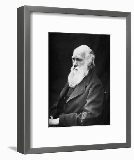 Portrait of Naturalist and Geologist Charles Darwin-Stocktrek Images-Framed Photographic Print