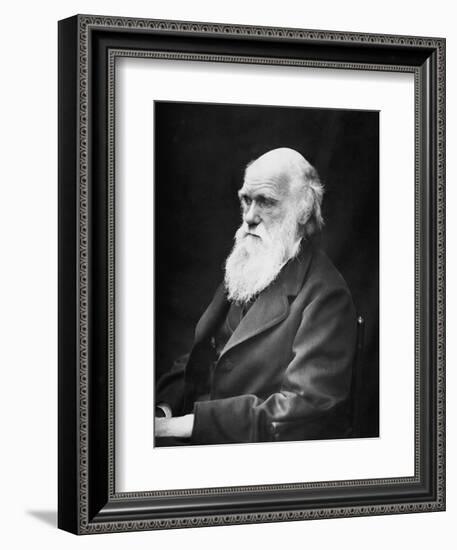 Portrait of Naturalist and Geologist Charles Darwin-Stocktrek Images-Framed Photographic Print