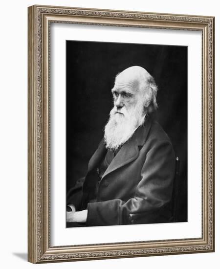 Portrait of Naturalist and Geologist Charles Darwin-Stocktrek Images-Framed Photographic Print