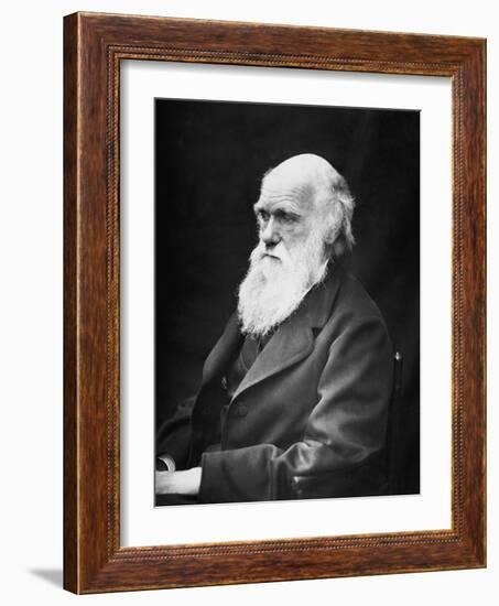 Portrait of Naturalist and Geologist Charles Darwin-Stocktrek Images-Framed Photographic Print