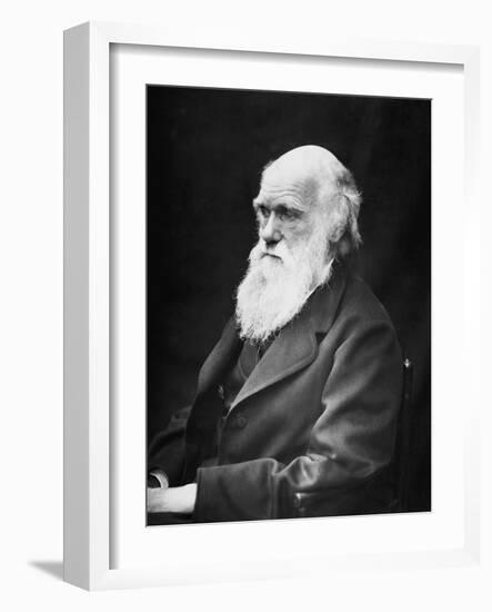 Portrait of Naturalist and Geologist Charles Darwin-Stocktrek Images-Framed Photographic Print