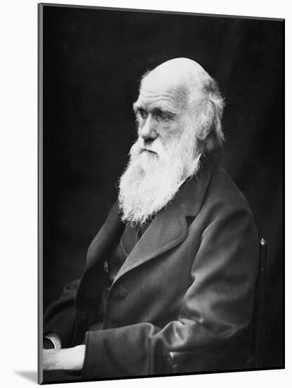 Portrait of Naturalist and Geologist Charles Darwin-Stocktrek Images-Mounted Photographic Print