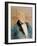 Portrait of Oscar Wilde, 1895 (W/C)-Henri de Toulouse-Lautrec-Framed Giclee Print