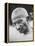 Portrait of Pacifist and Advocate of India's Independence from Great Britain, Mohandas Gandhi-null-Framed Premier Image Canvas