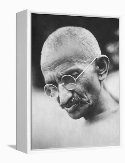 Portrait of Pacifist and Advocate of India's Independence from Great Britain, Mohandas Gandhi-null-Framed Premier Image Canvas