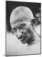 Premium Photographic Print
