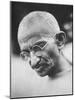 Portrait of Pacifist and Advocate of India's Independence from Great Britain, Mohandas Gandhi-null-Mounted Premium Photographic Print