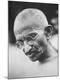 Premium Photographic Print