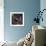 Portrait of Painter Balthus and His Niece Frederique Tison at the Chateau De Chassy-Loomis Dean-Framed Photographic Print displayed on a wall