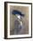 Portrait of Peggy Letellier-Paul Cesar Helleu-Framed Giclee Print