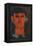 Portrait of Picasso-Amedeo Modigliani-Framed Premier Image Canvas