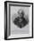 Portrait of Pietro Metastasio, Pseudonym of Pietro Trapassi-null-Framed Giclee Print