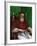 Portrait of Pope Julius II, 1511-Raphael-Framed Giclee Print