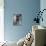 Portrait of Pug Bulldog Mix Dog-Panoramic Images-Photographic Print displayed on a wall