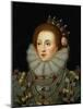 Portrait of Queen Elizabeth I (1533-1603)-Nicholas Hilliard-Mounted Giclee Print