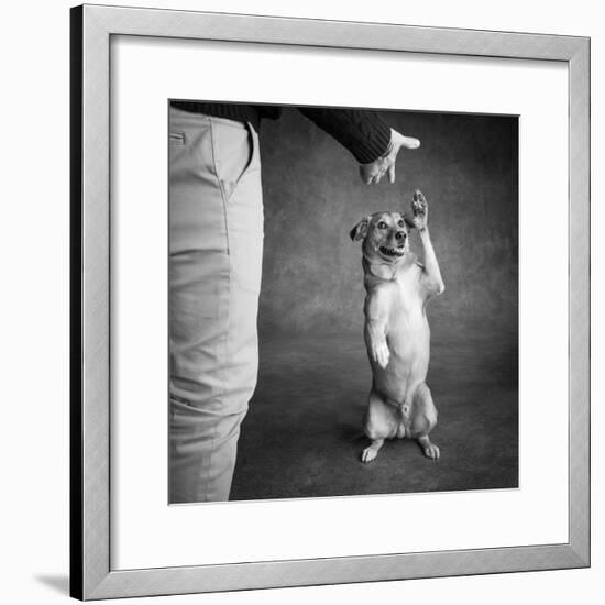 Portrait of Red Bone Coon Mix Dog with Legs of a Man-null-Framed Photographic Print