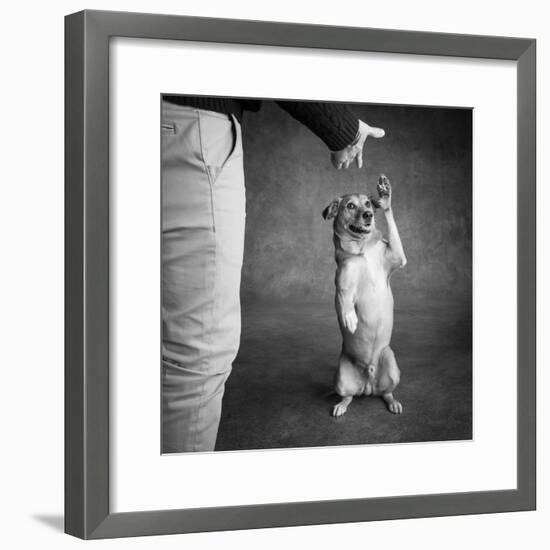 Portrait of Red Bone Coon Mix Dog with Legs of a Man-null-Framed Photographic Print