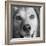 Portrait of Red Bone Coon Mix Dog-Panoramic Images-Framed Photographic Print