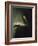 Portrait of Rembrandt's Mother-Rembrandt van Rijn-Framed Giclee Print