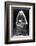 Portrait of Saint Bernadette of Lourdes-null-Framed Photographic Print