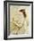 Portrait of Sarah Bernhardt-Jules Bastien-Lepage-Framed Giclee Print